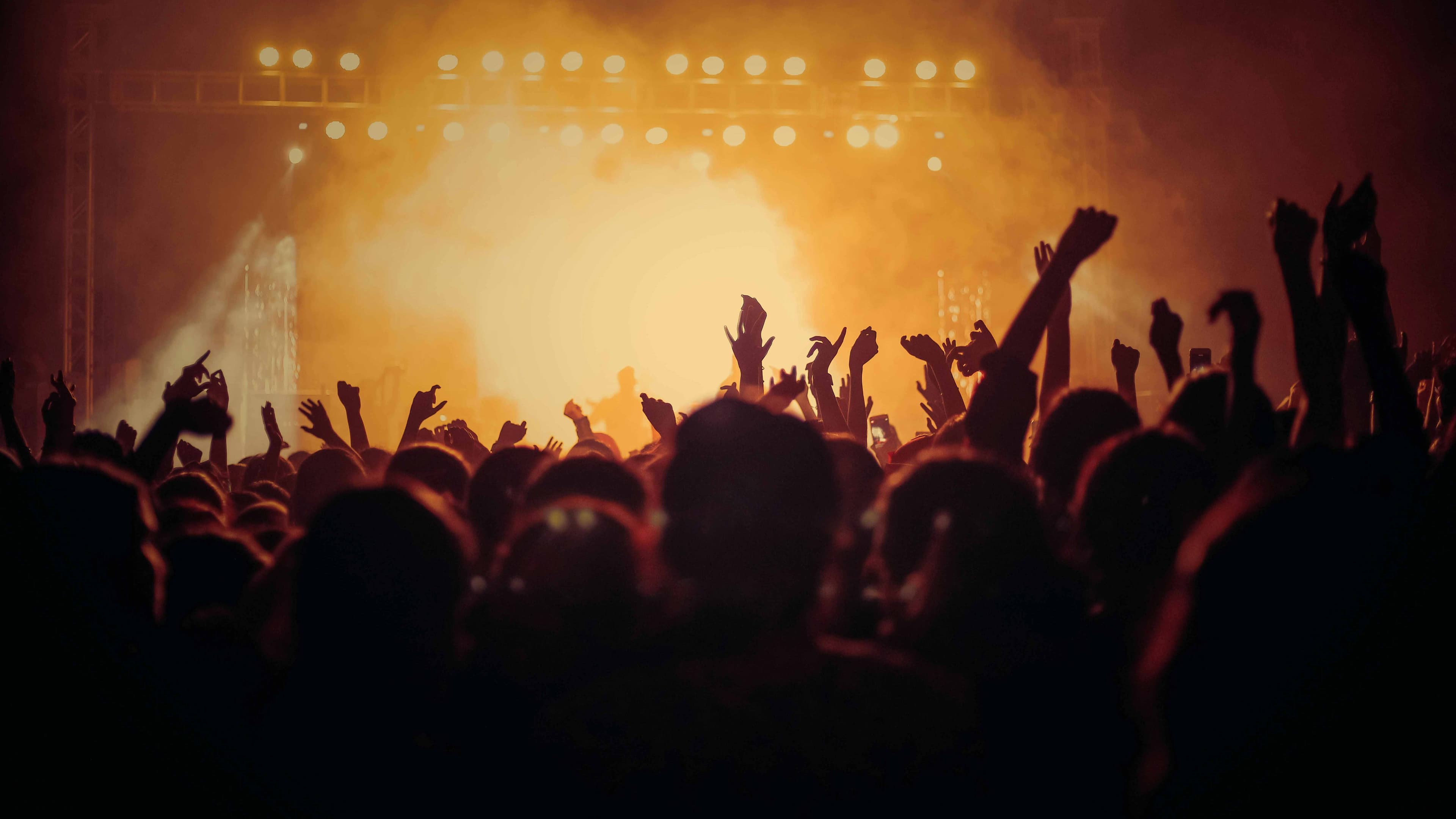 A concert from the crowds perspective